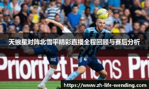 天狼星对阵北雪平精彩直播全程回顾与赛后分析