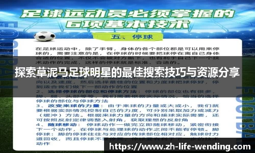 探索草泥马足球明星的最佳搜索技巧与资源分享